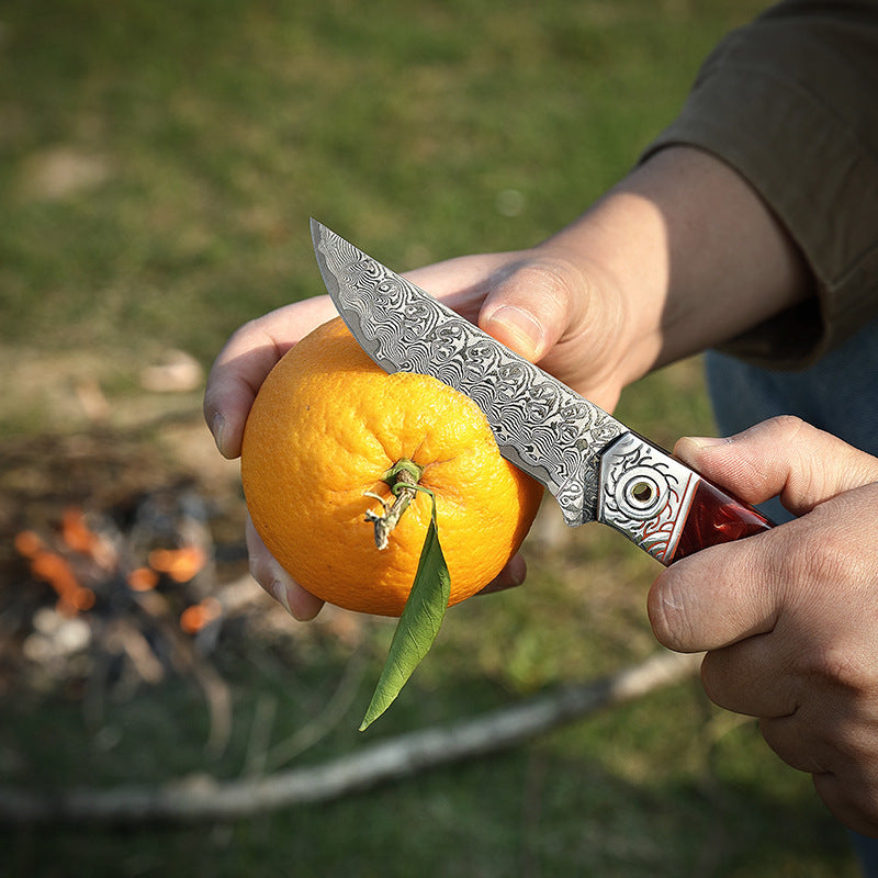The Red-handled Fu Hand Handle Meat Knife
