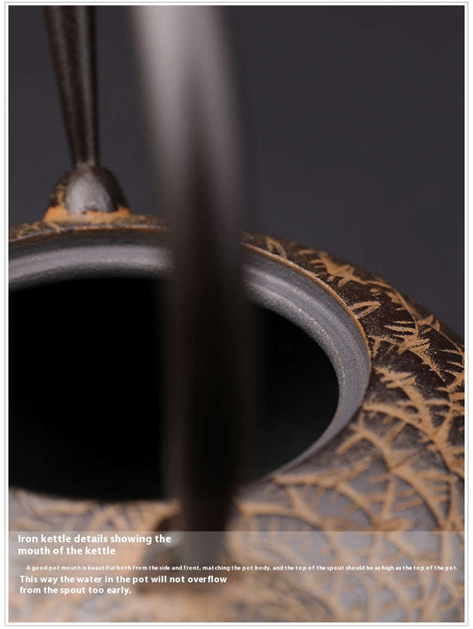 Handmade Uncoated Japanese Fish Pattern Old Teapot Quail Iron Pot