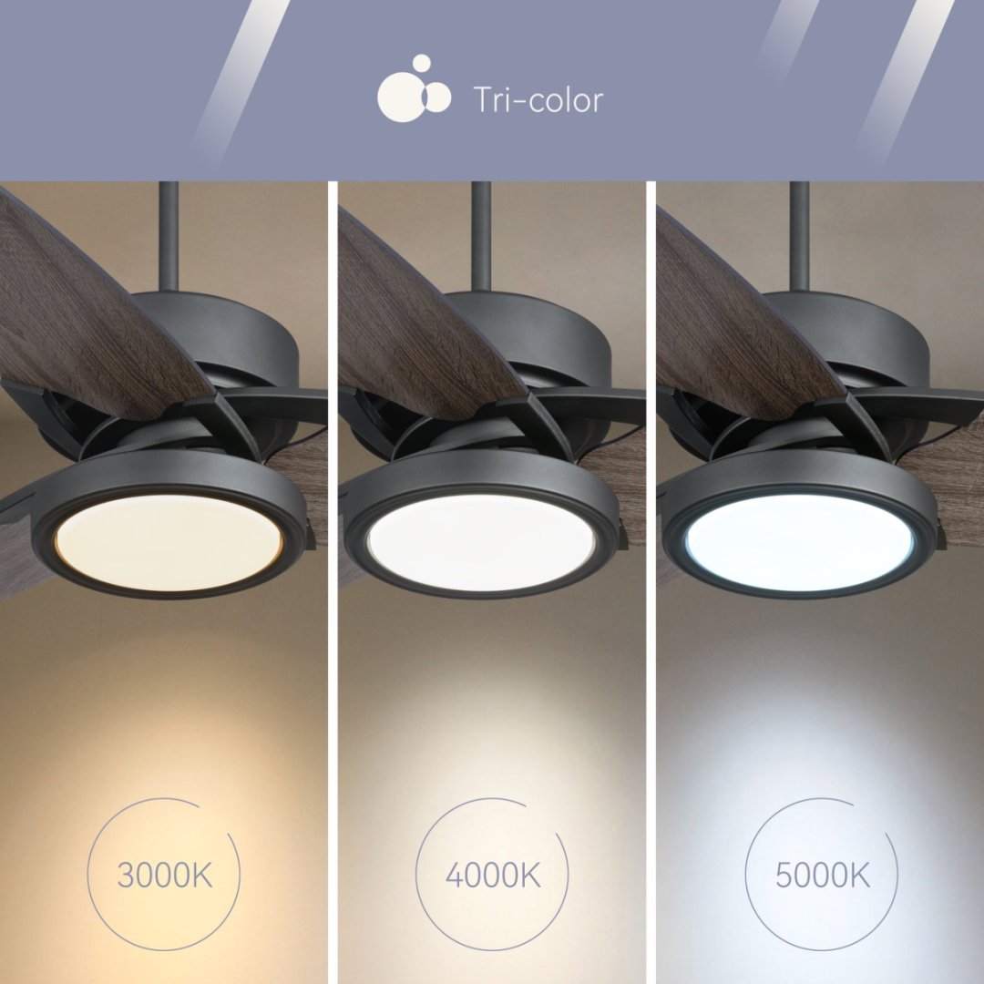 Light Pro 52 In. LED Indoor Jet Black Smart Ceiling Fan With Light Kit And Reversible DC Motor