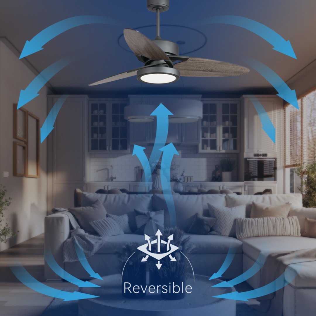 Light Pro 52 In. LED Indoor Jet Black Smart Ceiling Fan With Light Kit And Reversible DC Motor